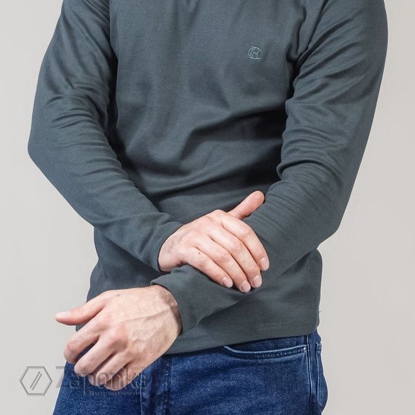 Гольф, Зелений (олива) колір, Кежуал, Бавовна, Regular Fit, Climber