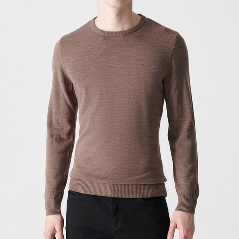 Пуловер, Коричневий (тьмяний) колір, Кежуал, Акріл, Regular Fit, AVVA
