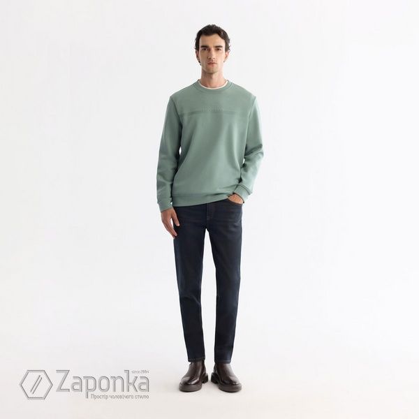 Світшот з резиновим принтом, Зелений (м'ята) колір, Кежуал, Бавовна, Regular Fit, AVVA