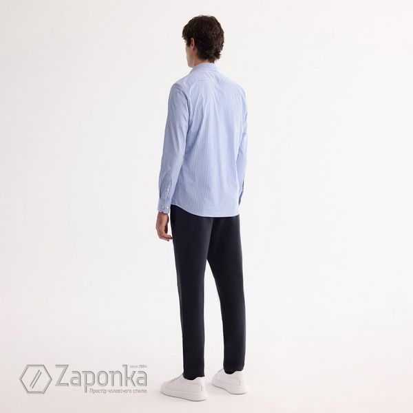 Сорочка в смугу, Блакитно-Білий колір, Бізнес-кежуал, Бавовна, Slim Fit, AVVA