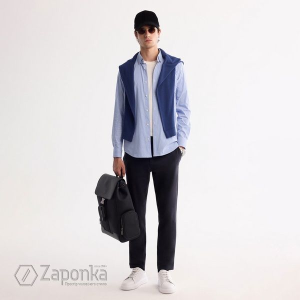 Сорочка в смугу, Блакитно-Білий колір, Бізнес-кежуал, Бавовна, Slim Fit, AVVA