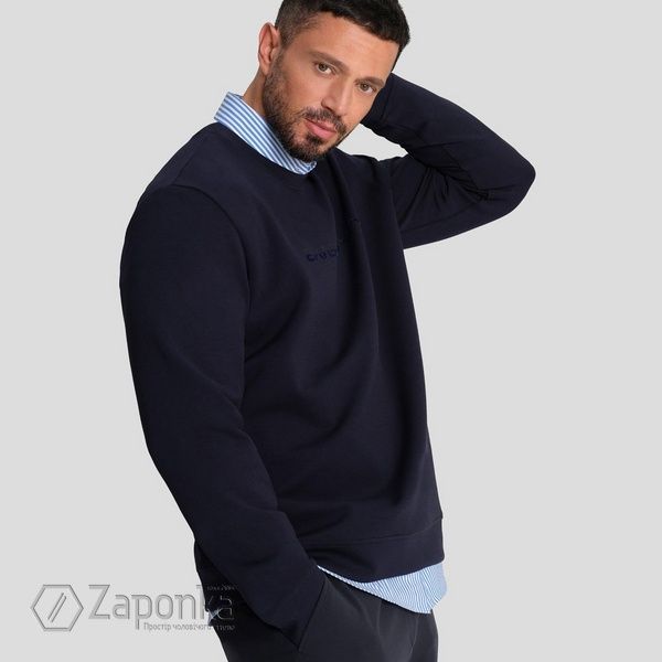 Сорочка в смугу, Блакитно-Білий колір, Бізнес-кежуал, Бавовна, Slim Fit, AVVA