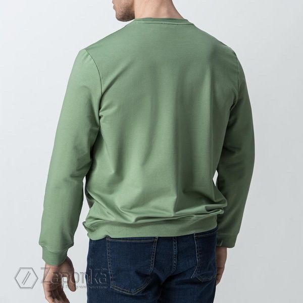 Світшот із гумовим принтом, Зелений (Резедовий) колір, Спорт-Кежуал, Бавовна, Regular Fit, AVVA
