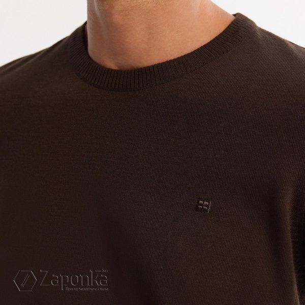 Пуловер, Коричневий колір, Кежуал, Акріл, Regular Fit, AVVA